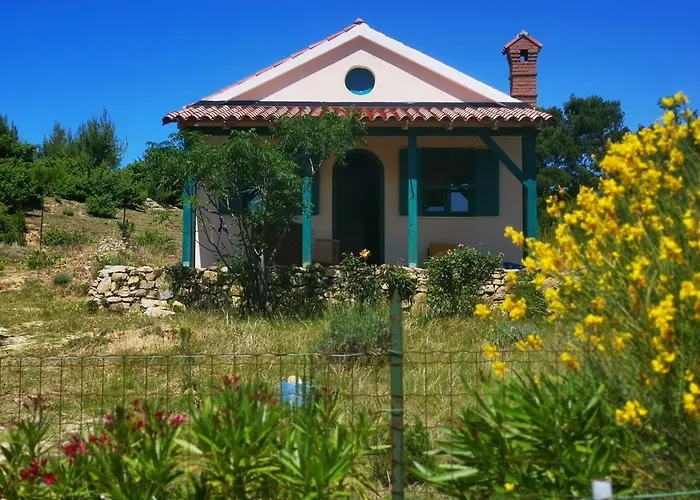 Arya House