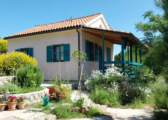 Arya House