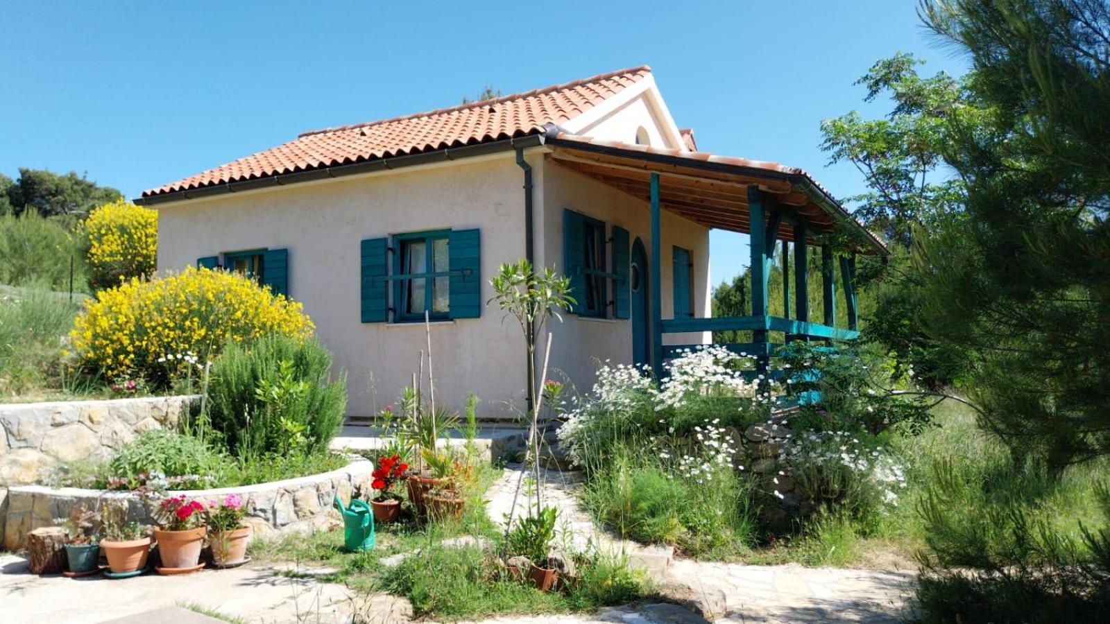 Dom wakacyjny Arya House